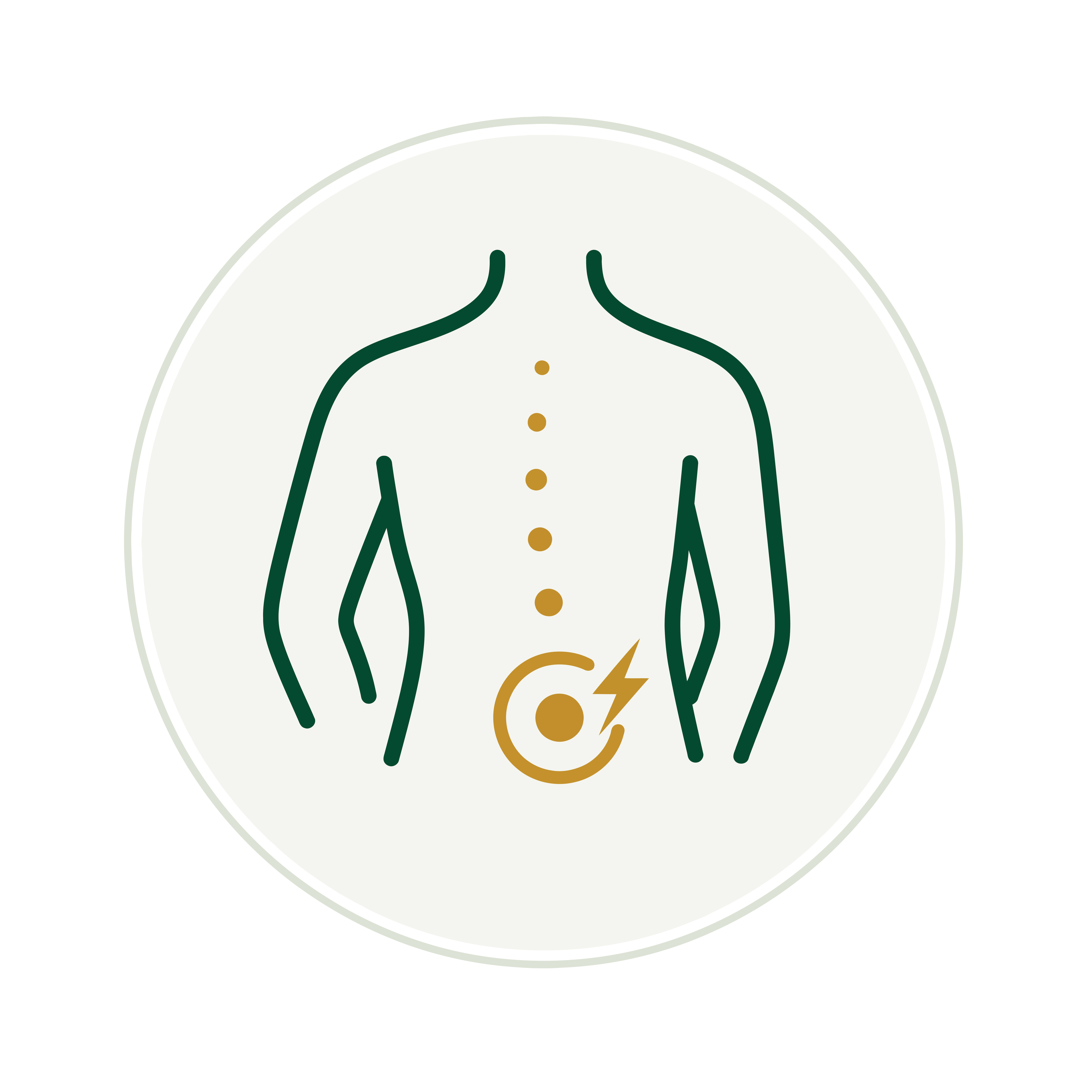 Back, Neck, Joint & Muscle Pain